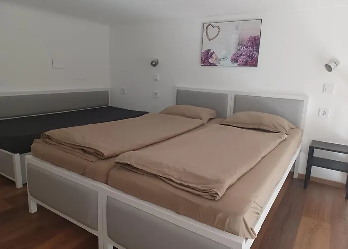 Toucan Hostel Budapest
